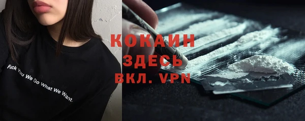 твердый Алексин